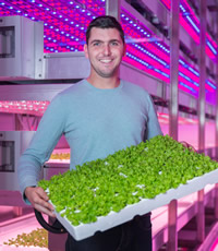A person holding a tray of green plantsDescription automatically generated